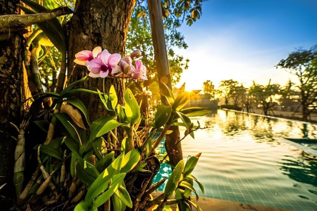 Chatnipa Beach Resort By Morseng Ban Hat Lek Exteriér fotografie